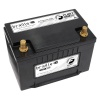 Braille F34 Fleet Line Lithium Battery