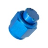 Goodridge -10 Aluminum Female Cap