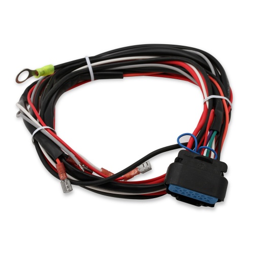 MSD Replacement Harness for 6A and 6AL Controllers
